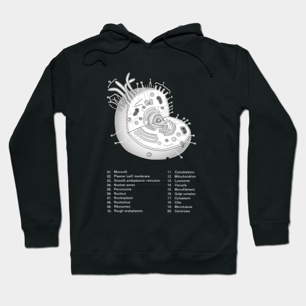 Eukaryotic cell Hoodie by Science Design